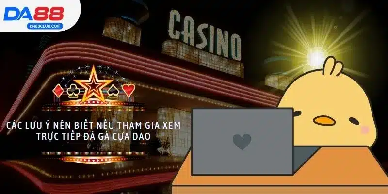 Các lưu ý nên biết nếu tham gia xem trực tiếp đá gà cựa dao