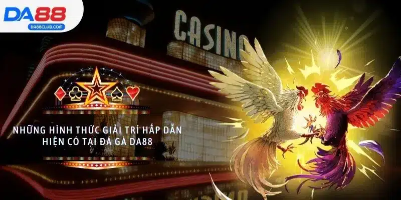 Những hình thức giải trí hấp dẫn hiện có tại đá gà DA88