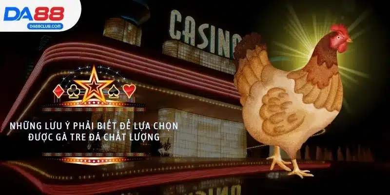 Những lưu ý phải biết để lựa chọn được gà tre đá chất lượng