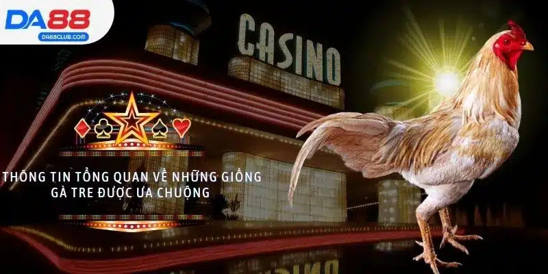 Thông tin tổng quan về những giống gà tre được ưa chuộng