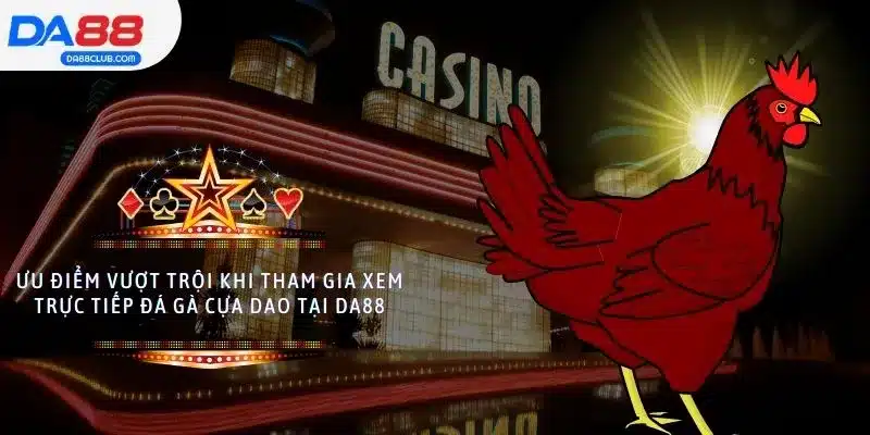 Ưu điểm vượt trội khi tham gia xem trực tiếp đá gà cựa dao tại DA88